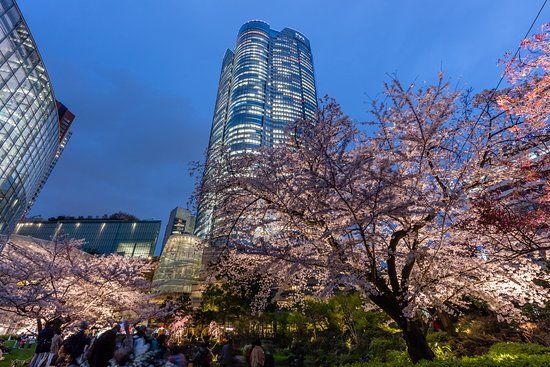 Centro comercial Roppongi Hills